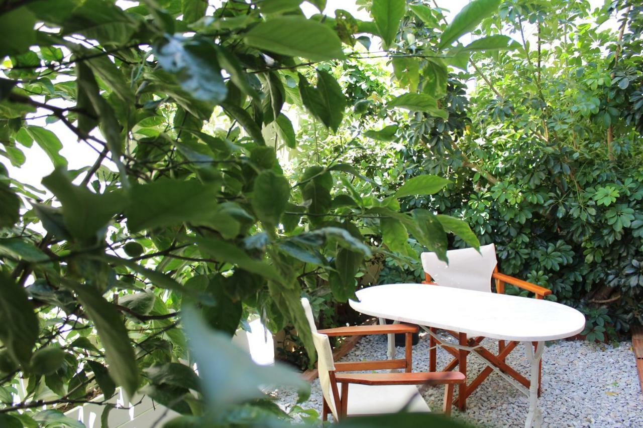 Antelia Homes Szkiáthosz Kültér fotó